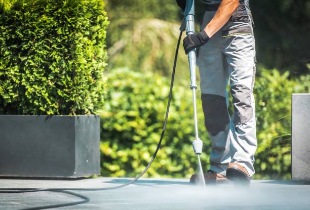 Best Solar Panel Cleaning  in Wanakah, NY