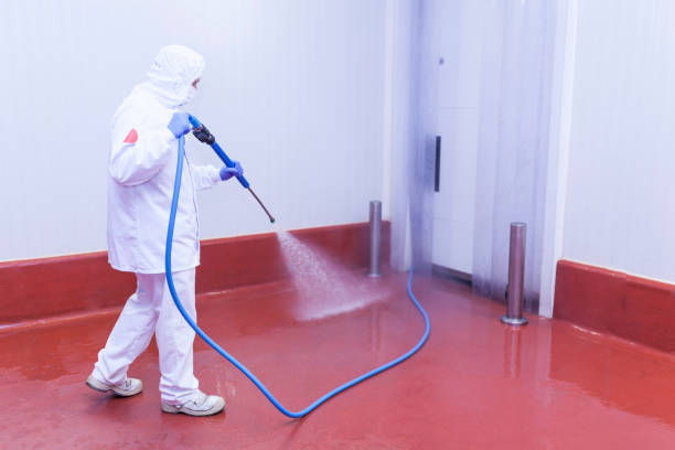 Best Restaurant Pressure Washing  in Wanakah, NY